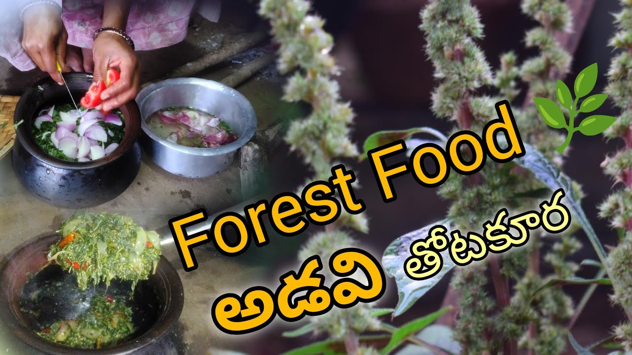 🌿 “100% సహజ గిరిజన వంట! #అసలు సహజ రుచి ఇదే! 🌿 # Tribal Clay Pot Cooking