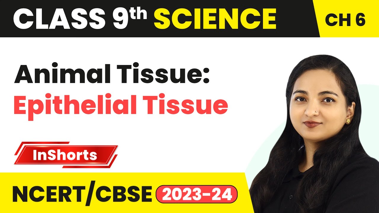 Animal Tissue: Epithelial Tissue | Class 9 Biology Chapter 6 | Tissues