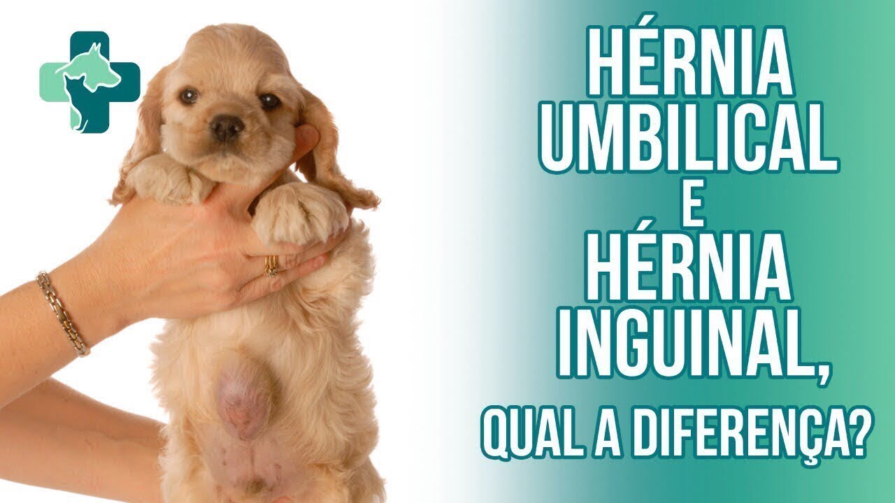 hernia umbilical e inguinal ! O que é ? Qual o risco?