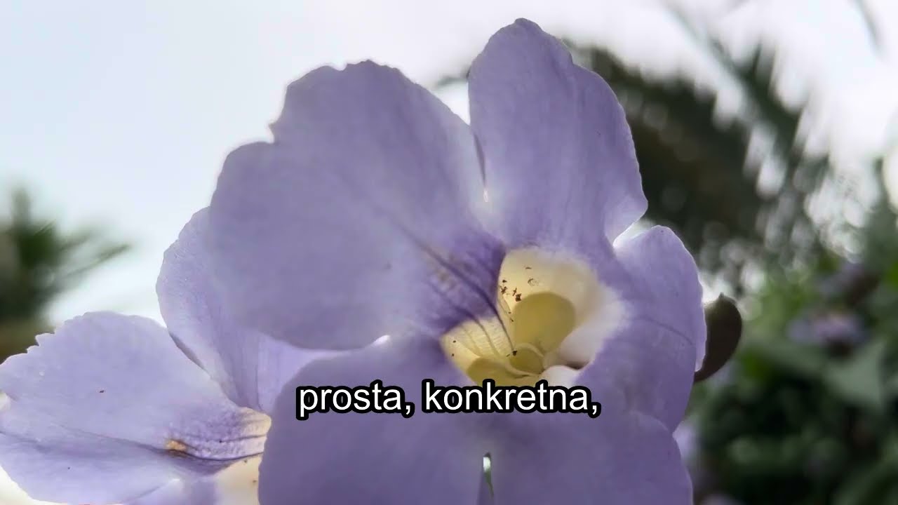3 znaki, że NIE POWINIENEŚ przyjmować Komunii Świętej podczas dzisiejszej Mszy