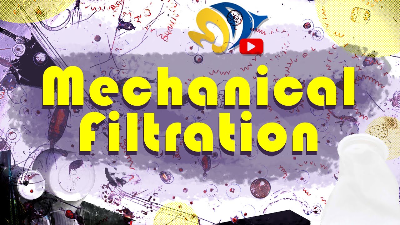 Keeping your Tank Clean! The Whys and Hows of Mechanical Filtration!