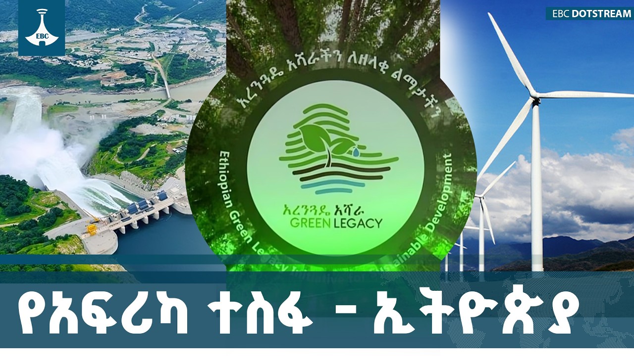 ኢትዮጵያ ለአሕጉራዊ ፈተናዎች መፍትሔ በመስጠት ረገድ ያላት ሚና | AU | Ethiopia | Solutions | Leadership |