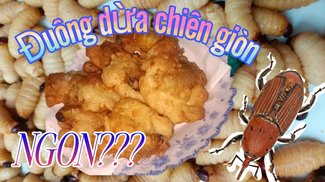 Đu&ocirc;ng dừa chi&ecirc;n gi&ograve;n, hấp c&aacute;i n&agrave;o ngon???