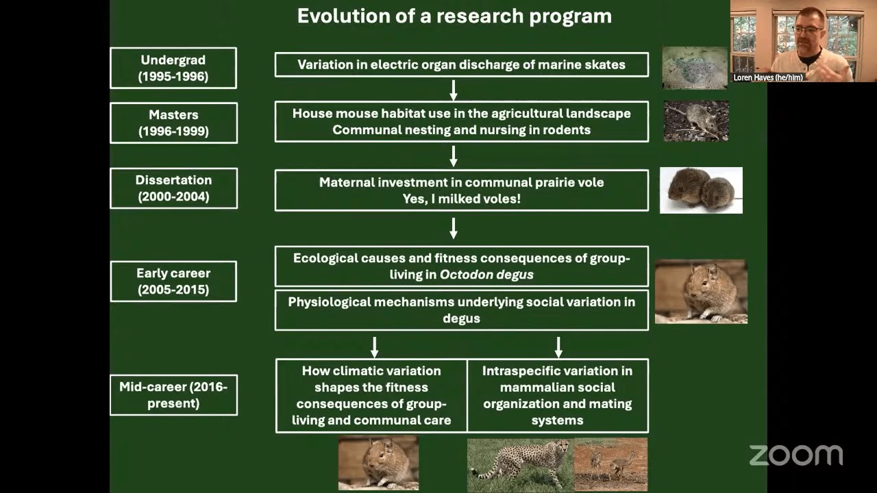 FINE Panel: Research Discussions (28 Oct. 2025)