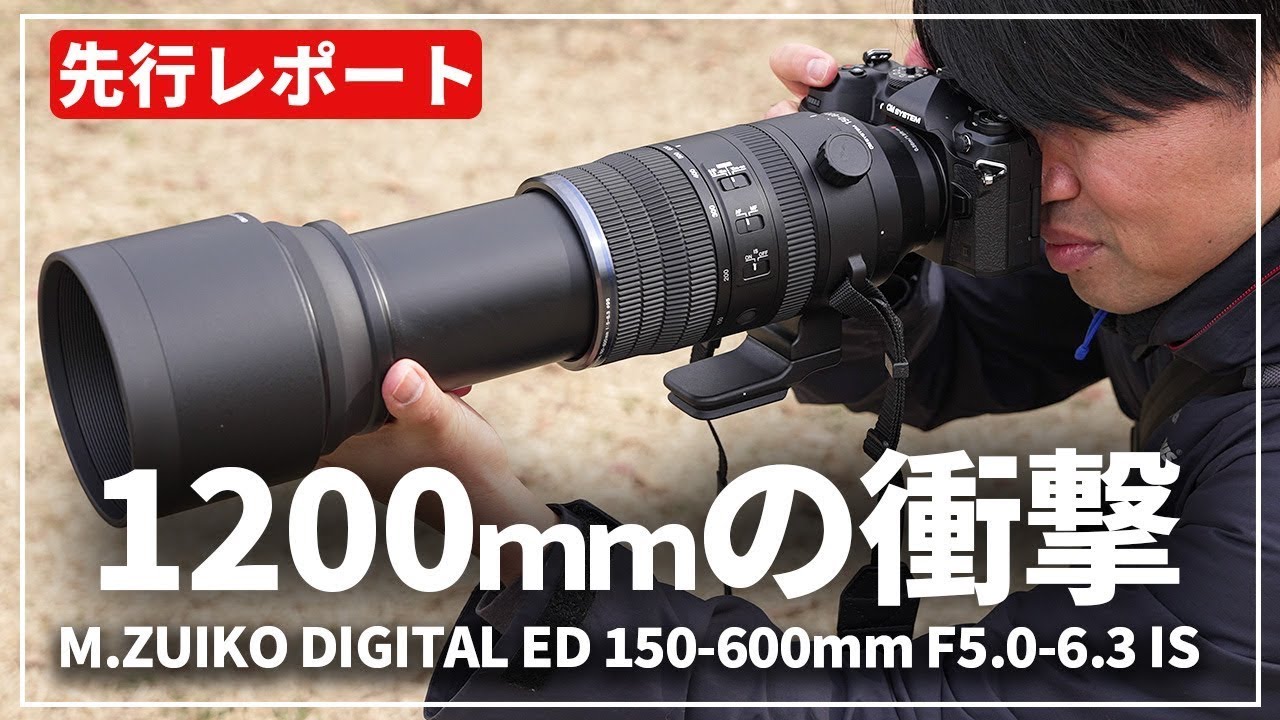 【先行レポート】『M.ZUIKO DIGITAL ED 150-600mm F5.0-6.3 IS 』野鳥撮影を中心に魅力を紹介します！