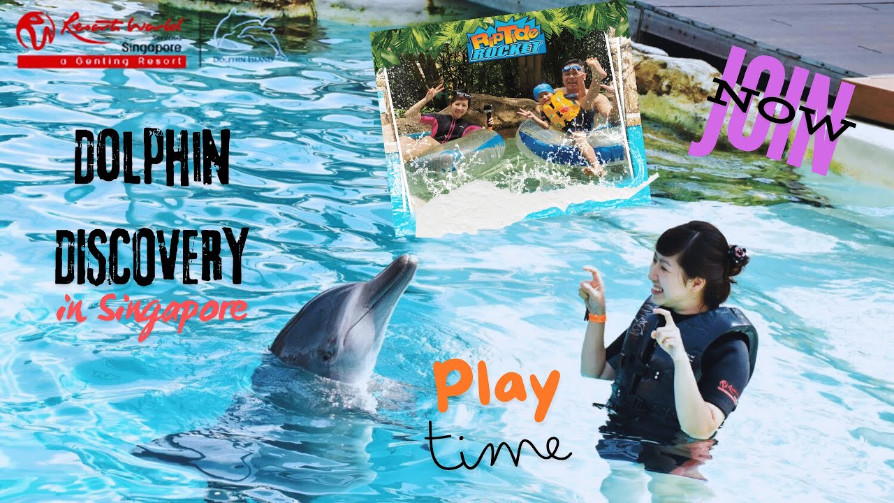 Dolphin Island & Adventure Cove Sentosa Singapore