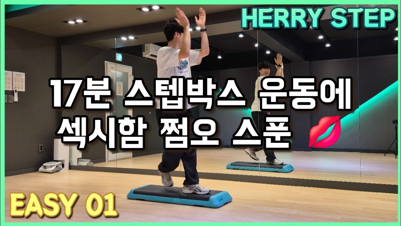 처음부터 완벽하게✨ 17분 초보자용 스텝박스 홈트 유산소운동