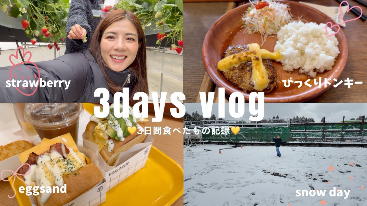 3days vlog【いちご狩り🍓びっくりドンキー💛おにぎり🍙】もちろん体重は増量しました🐷💗