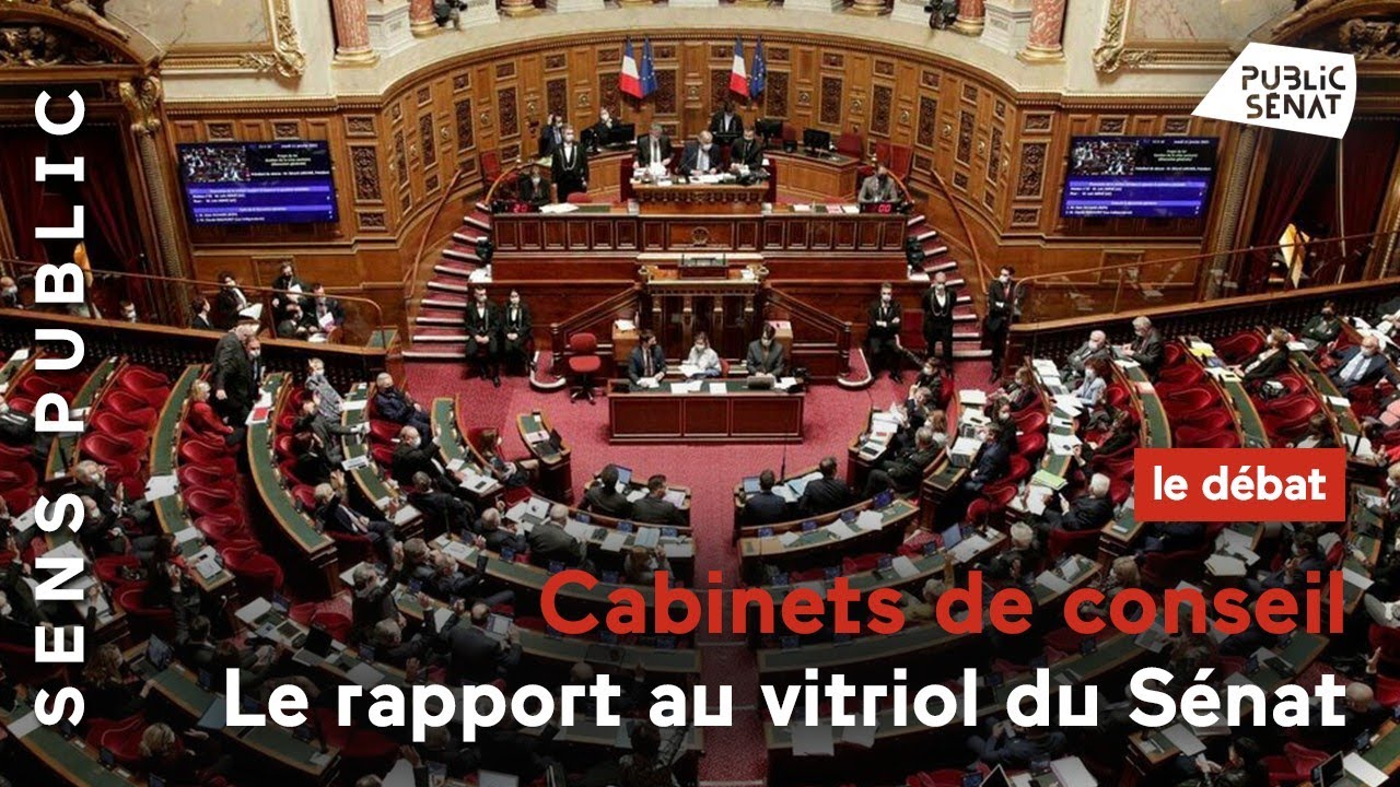 Cabinets de conseil, le rapport au vitriol du Sénat