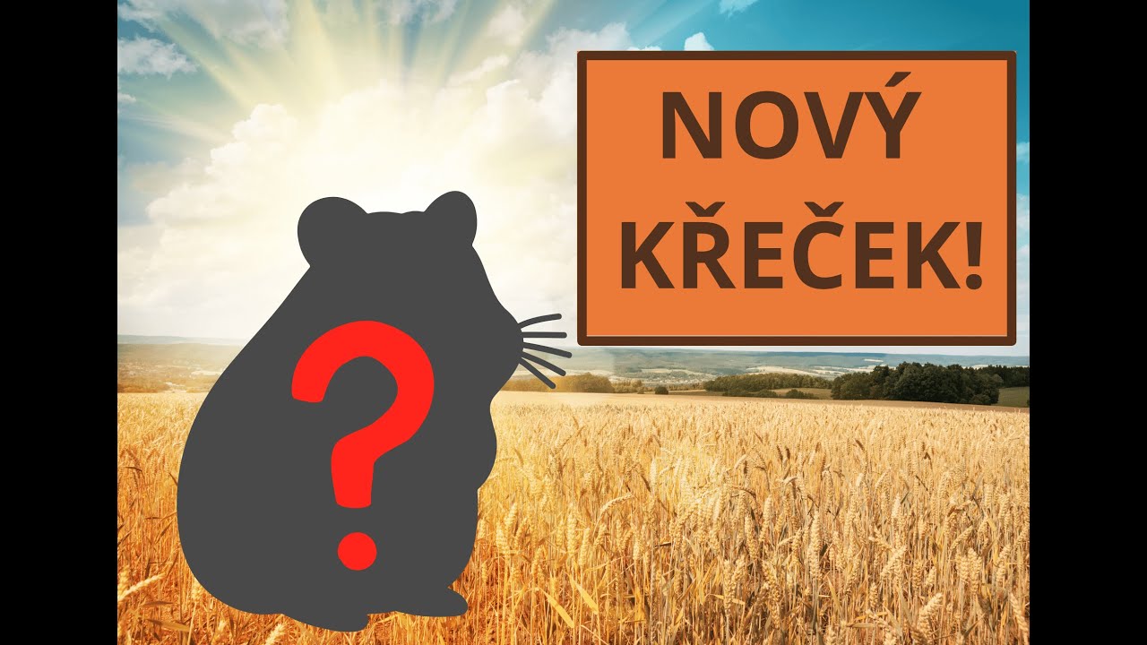 Nový křeček! seznamte se s Jimem.