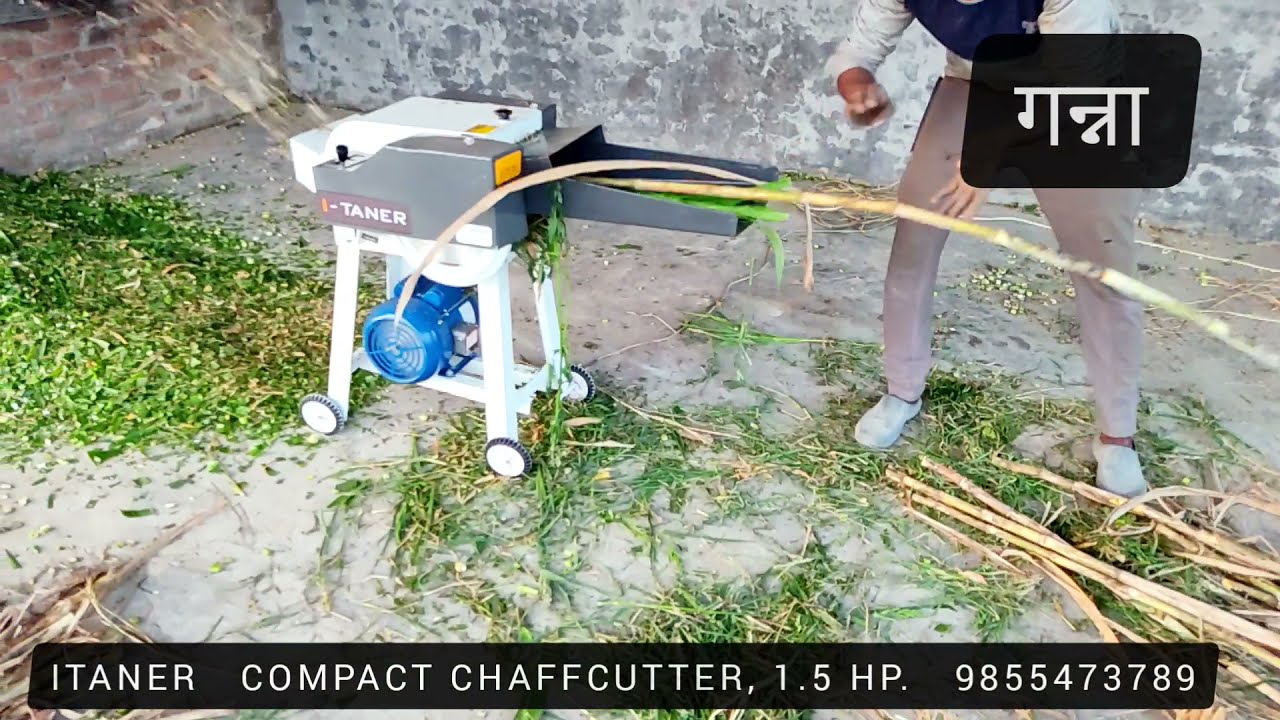 गन्ना, मक्का, घास। कुछ भी काटो|# Chaff cutter, # Kutti Machine, ☎️ 6239010540