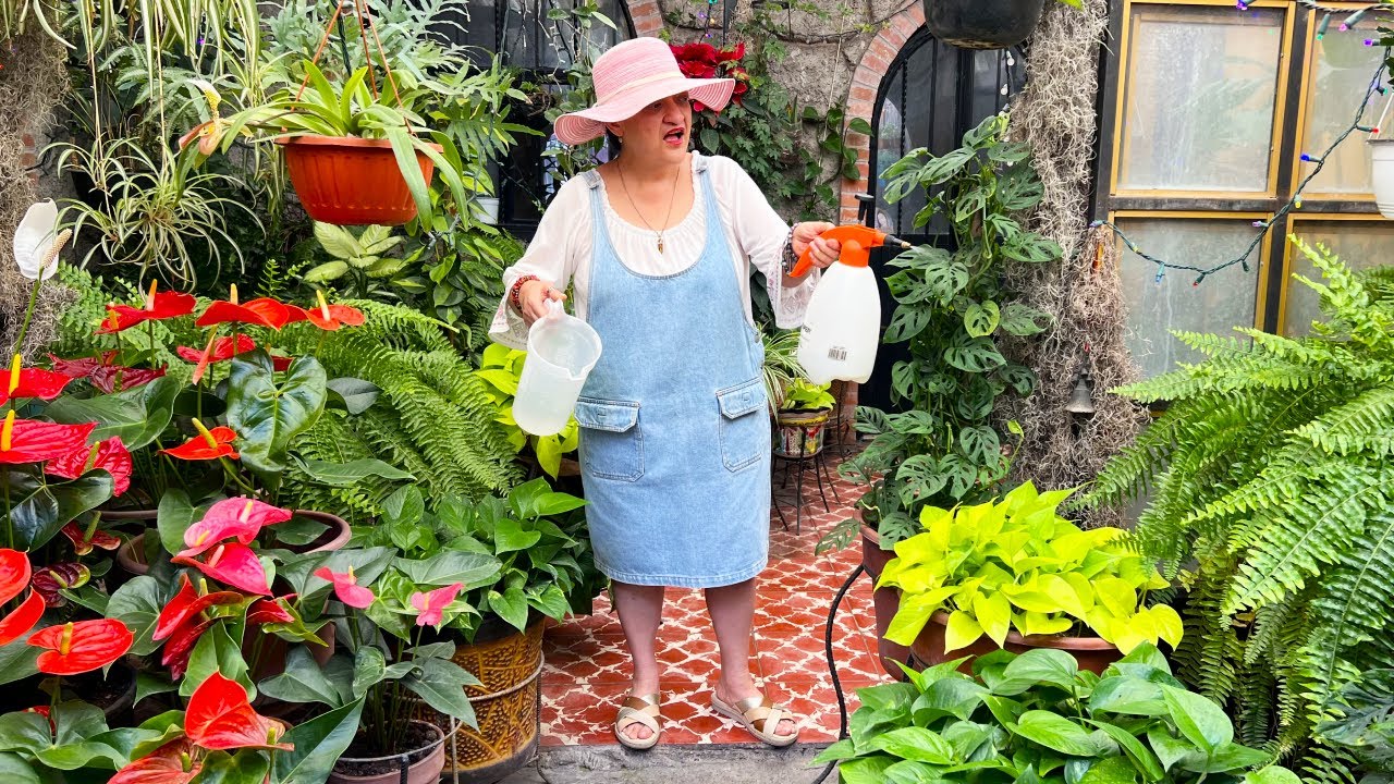 No solo con Fertilizantes y Abonos viven las Plantas, también NECESITAN de ESTO!