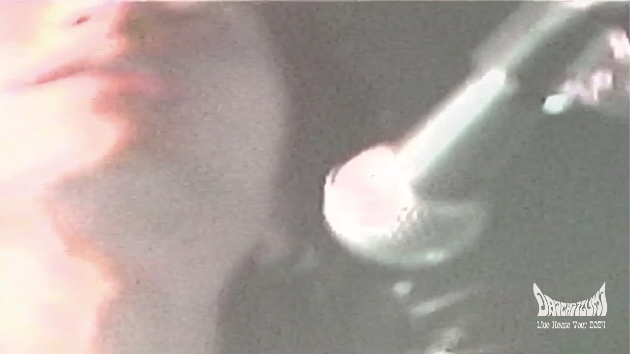 泉大智 - PUNK!!!! [Official Live Video]
