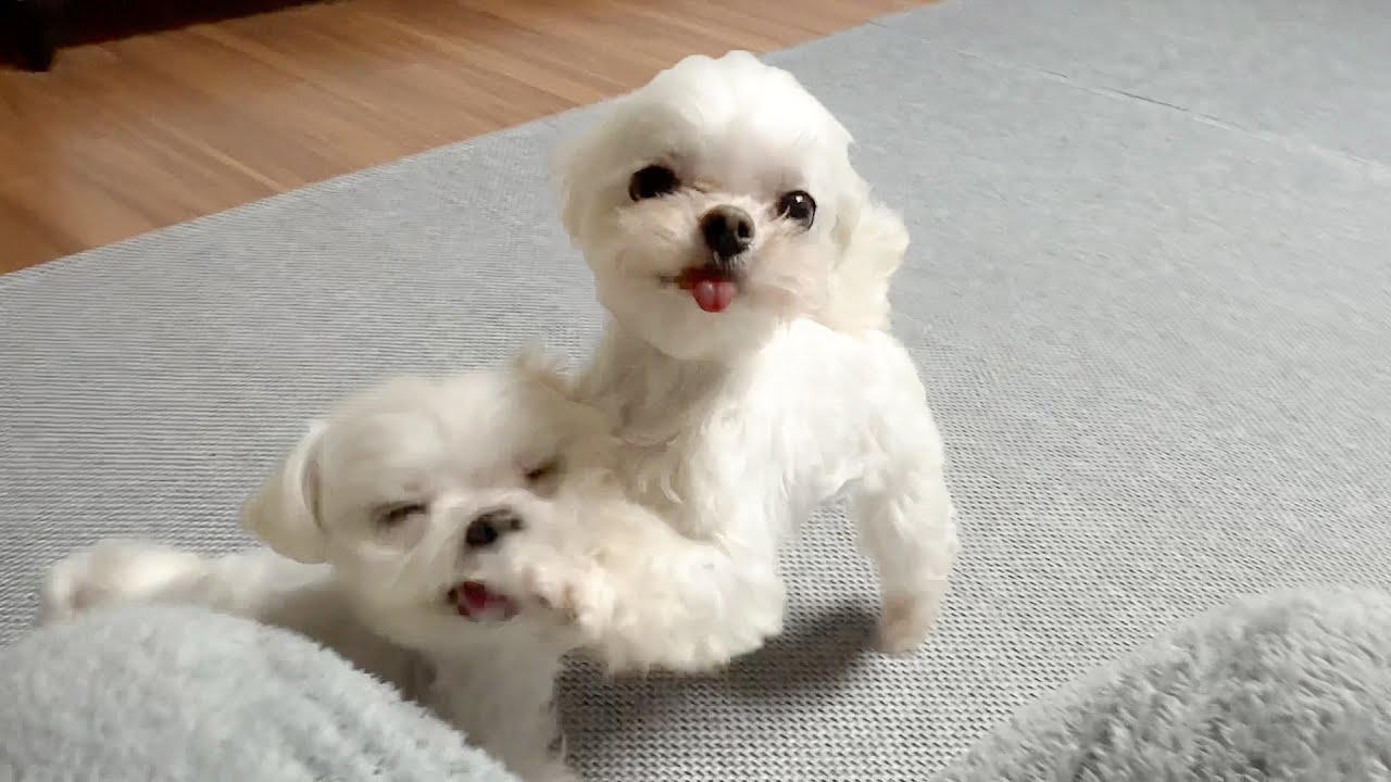 조용히 해 오빠
