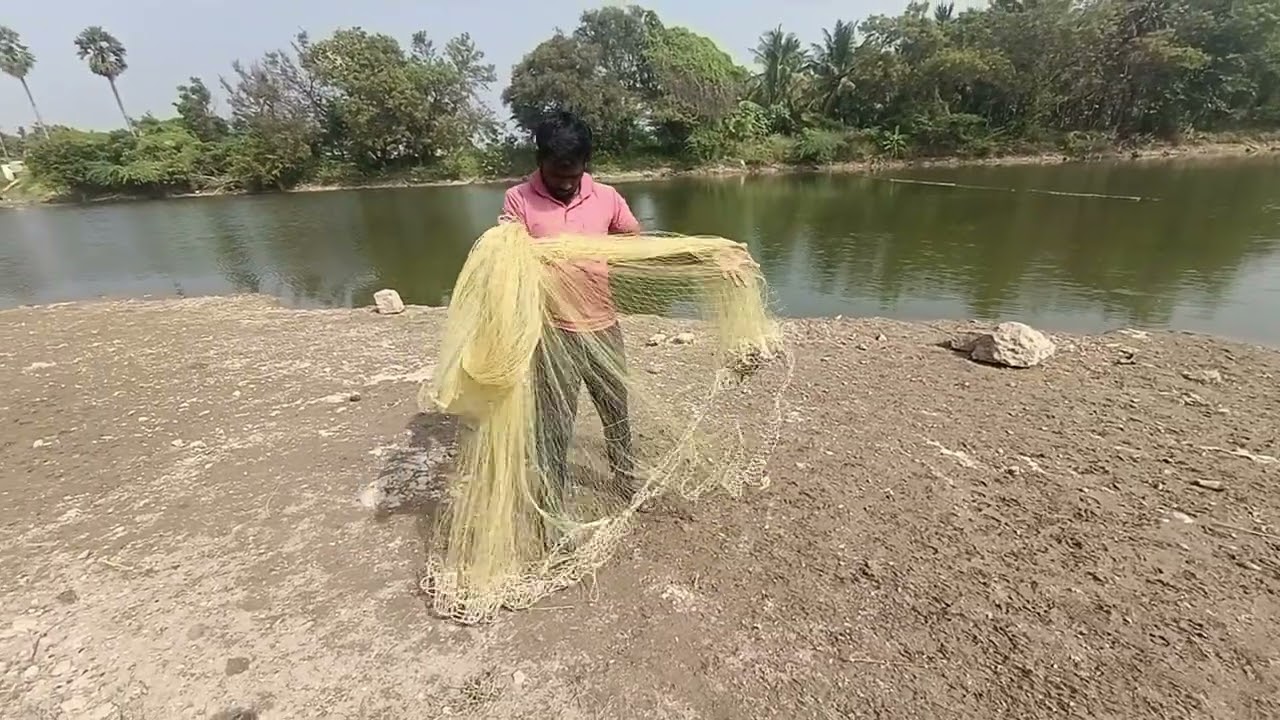 வீச்சு வலை எப்படி வீசுவது 