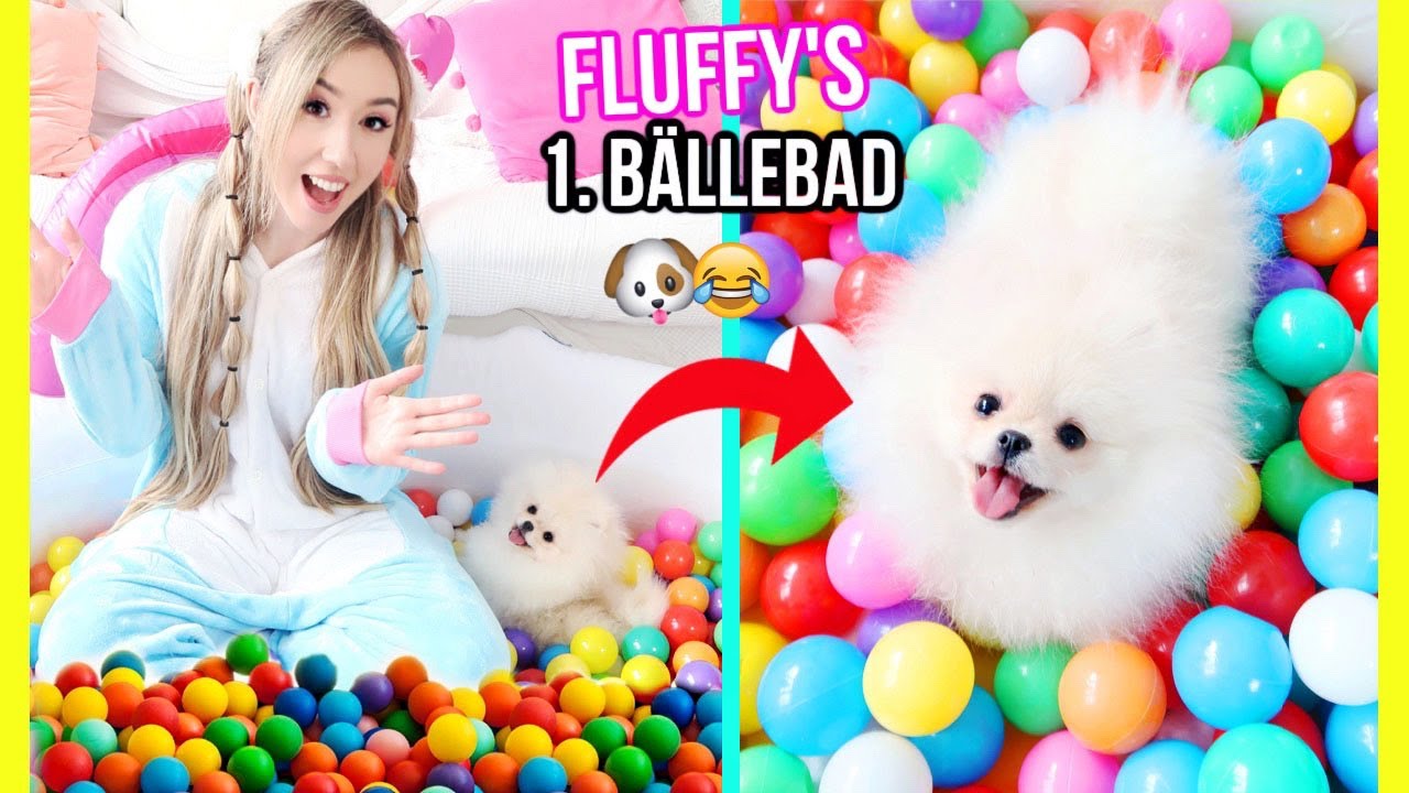 WELPE FLUFFY geht BADEN in EINHORN XXL 1000 BÄLLEBAD das 1. MAL im meinem HAUS **SPIEL ROUTINE**