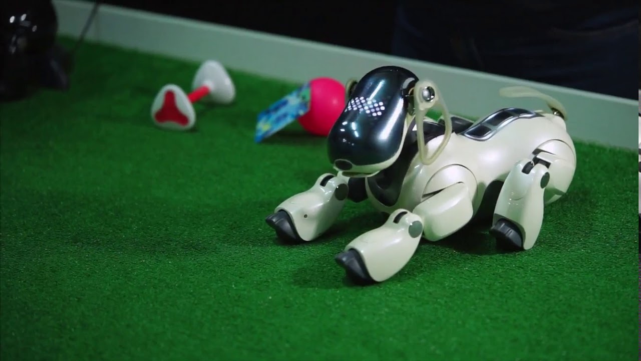 Meilleur chien robot pour enfant comparatif classement