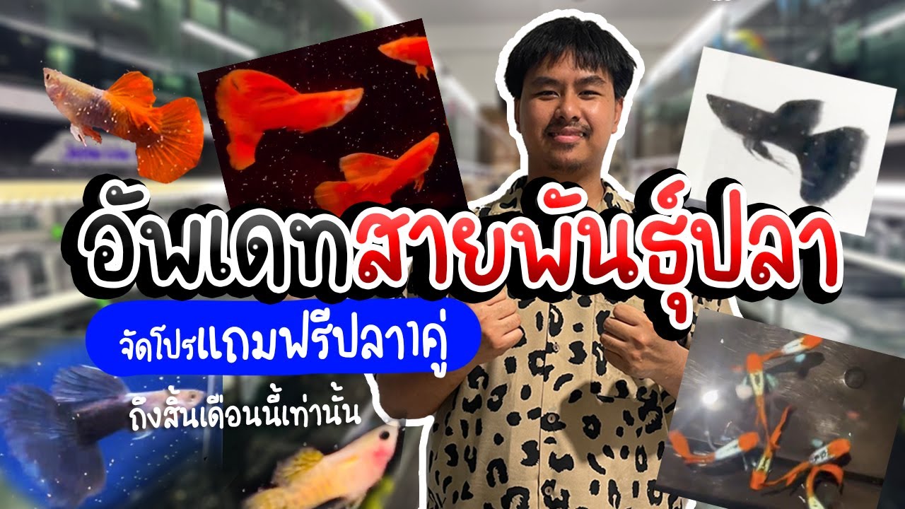 รู้อะไรไม่เท่ารู้งี้ EP49.อัพเดทสายพันธุ์ประจำปลายเดือนมิถุนายน