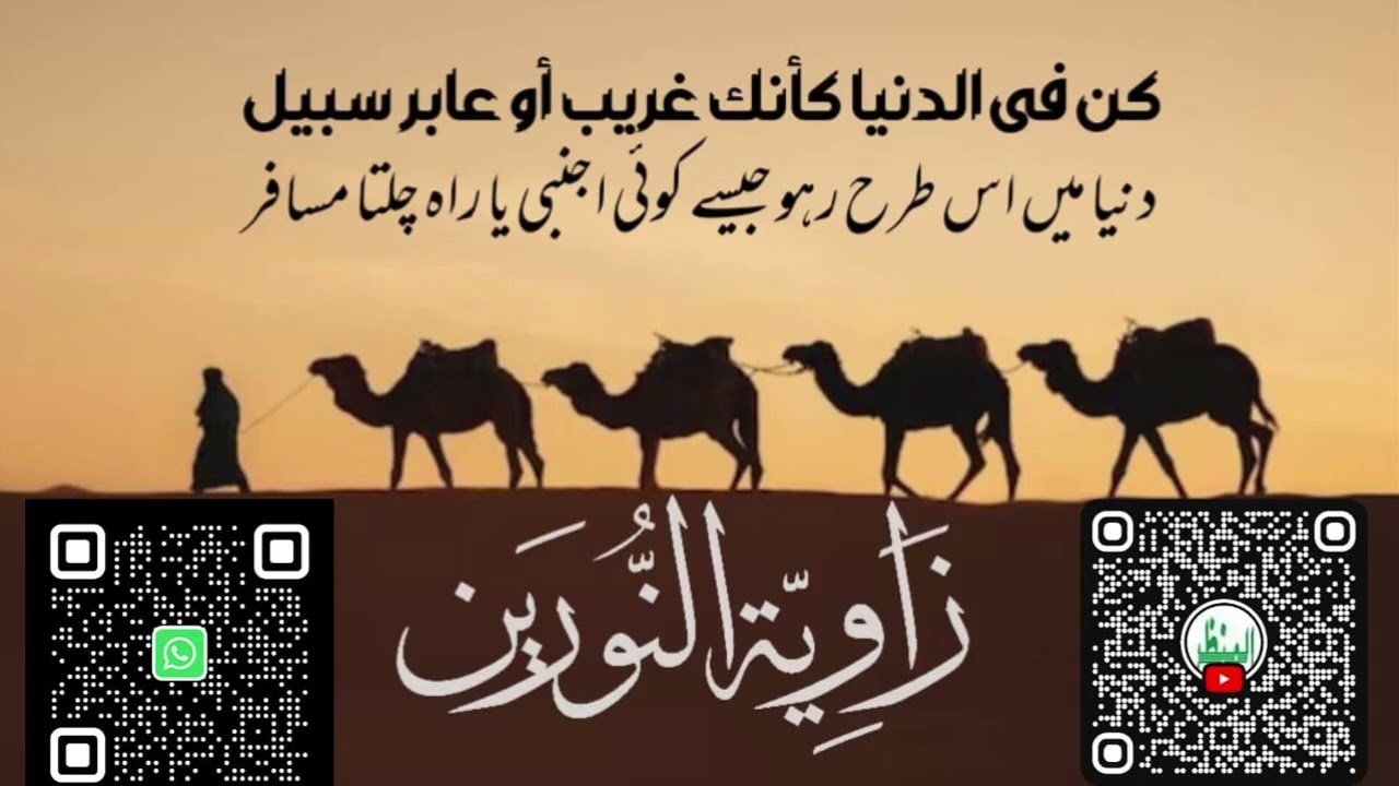 مولانا محمّد تحسین منظر صاحب دامت برکاتہم | بیمار دل کا علاج | مجلسِ عثمانیہ مسجد