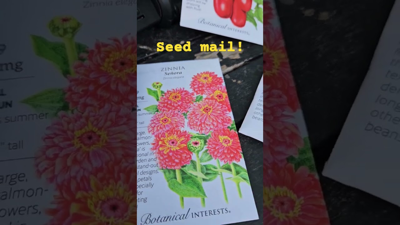 #weekendskillslab #garden #gardening #mysadgarden #botanicalinterests