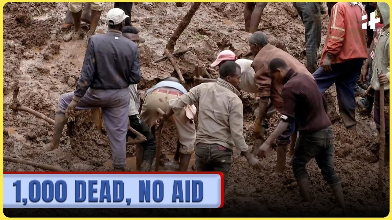Only one survivor | Sudan landslide kills over 1,000 | Aid blocked by war