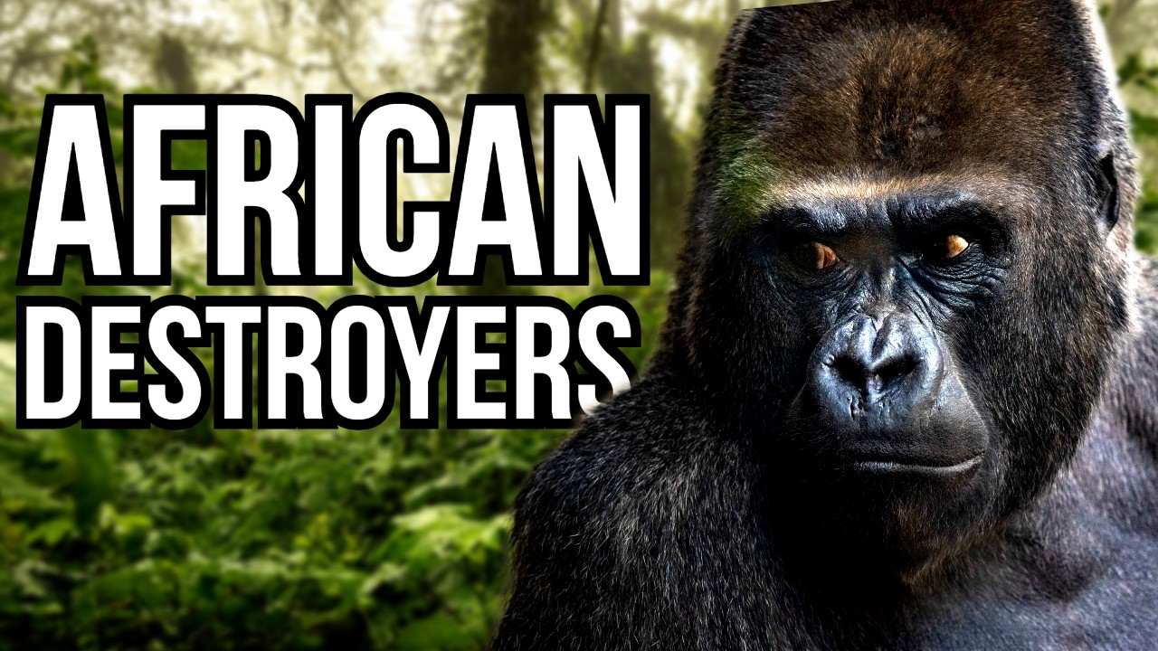 3 African Animals That Would Dominate South American Ecosystems