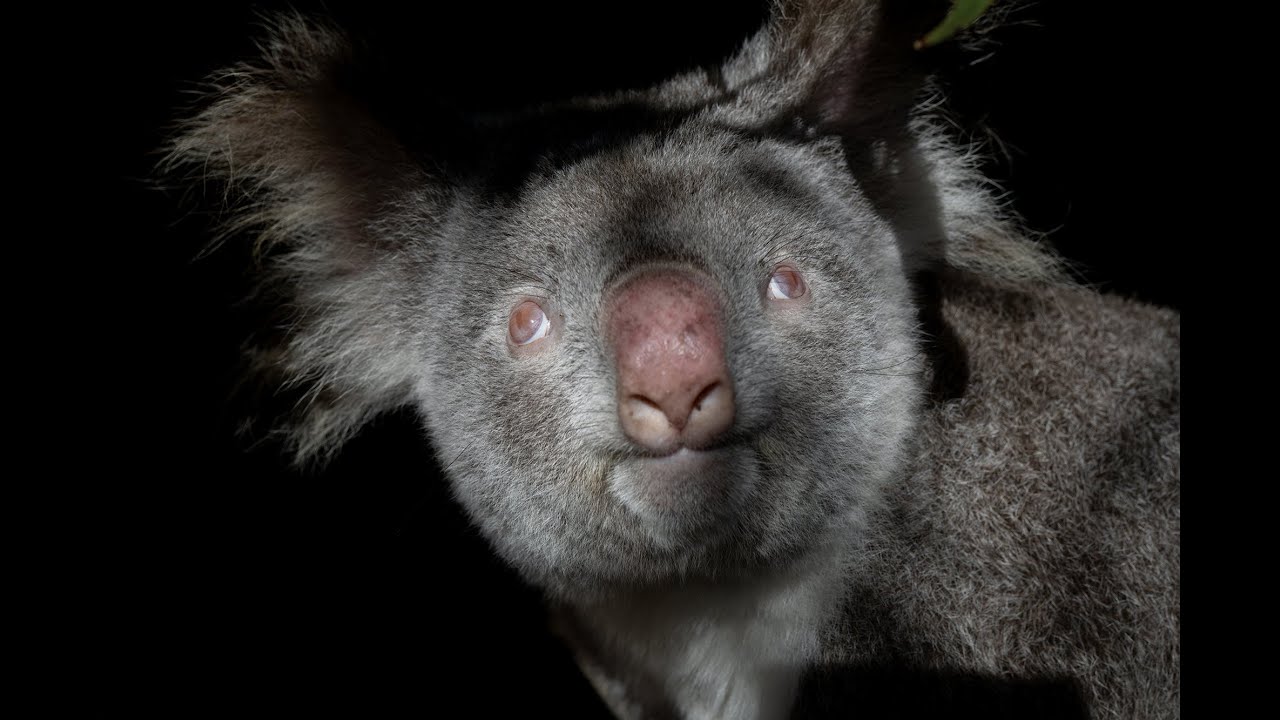 Lunch with the girls