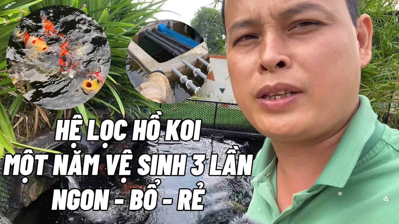 Hệ lọc hồ cá Koi một năm vệ sinh ngăn lọc 3 lần Ngon - Bổ - Rẻ