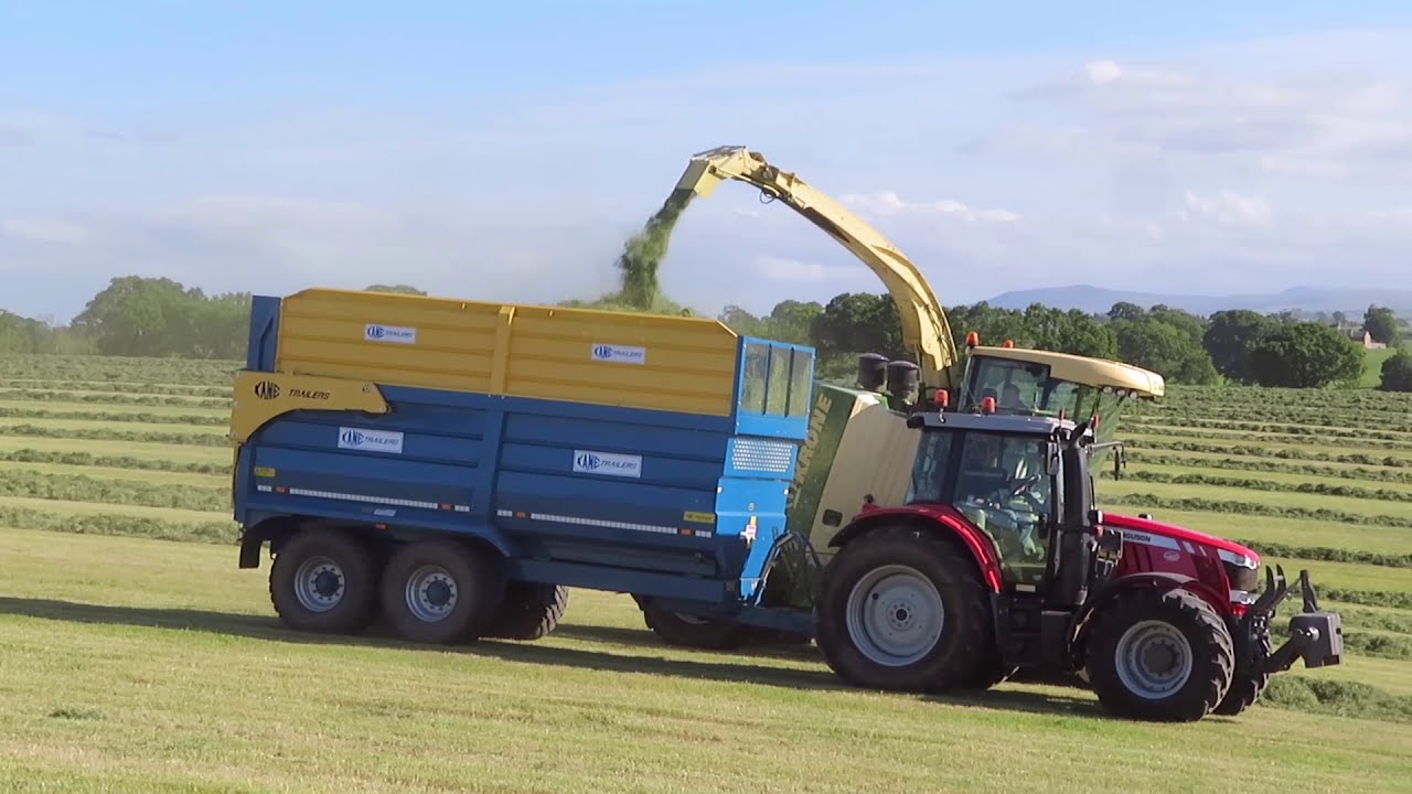 Silage '20. Krone Big X 700 with mixed fleet towing Kane trailers.