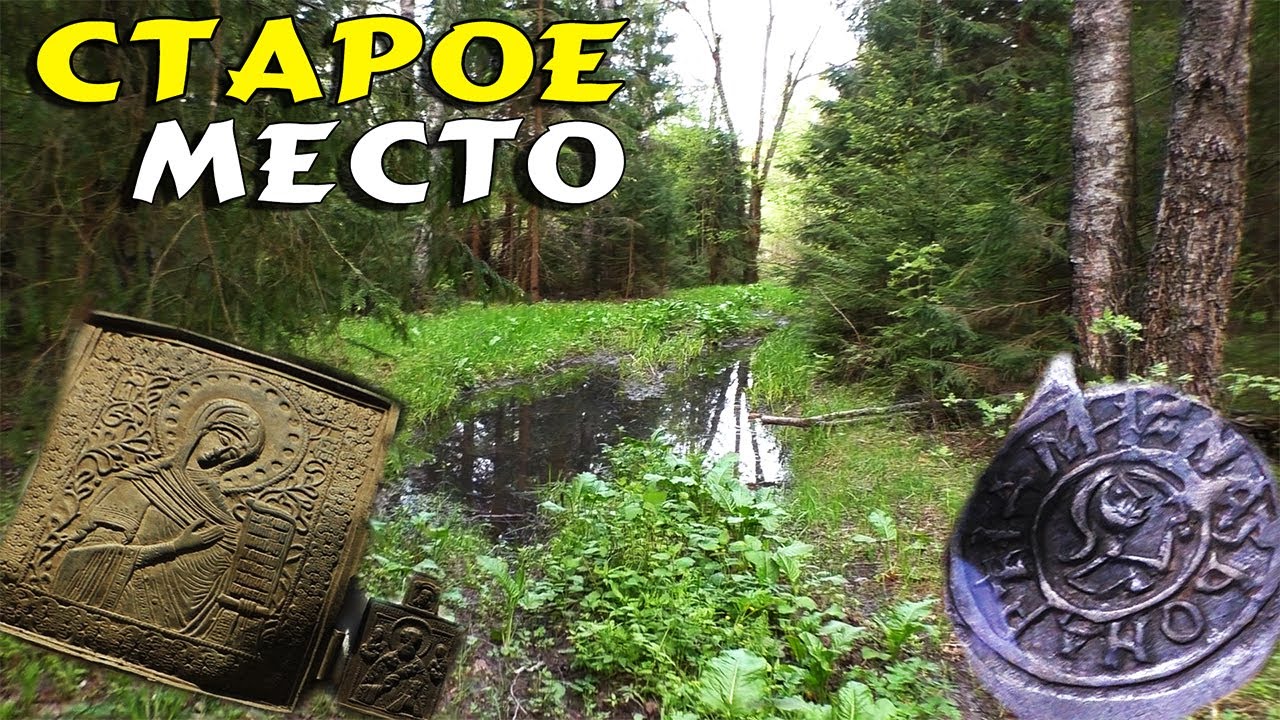 Коп в лесу Поиск монет в забых местах