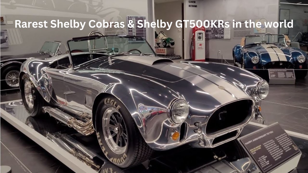 A look at the rarest Shelby Cobras & Shelby GT500s in the world at the Segerstrom Shelby Center