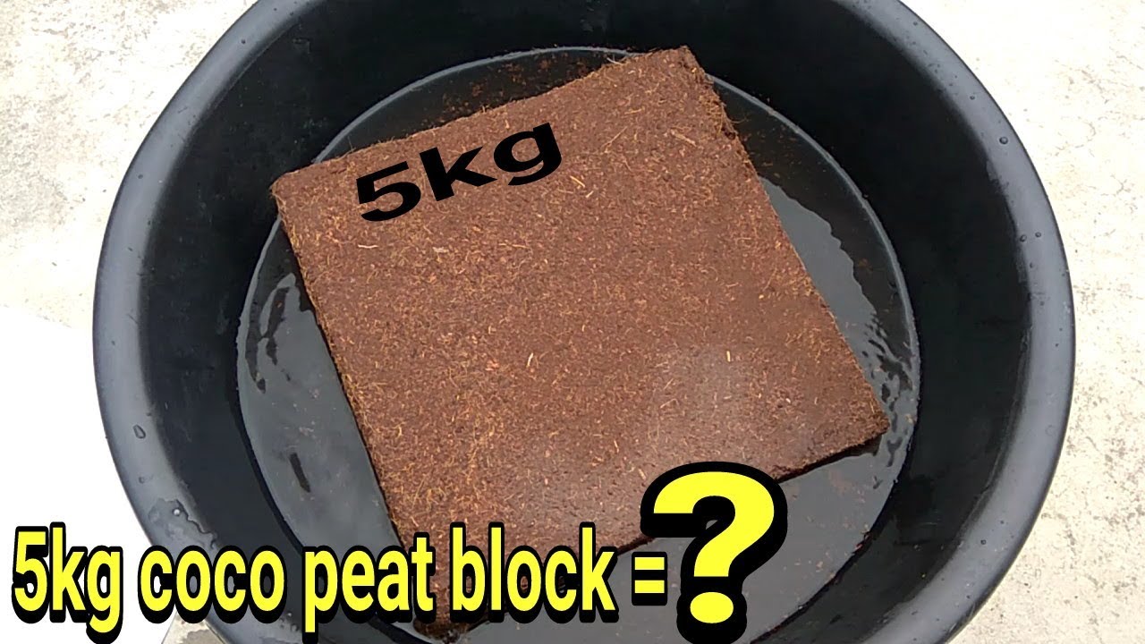 5kg cocopeat block se kitna cocopeat milta hai?