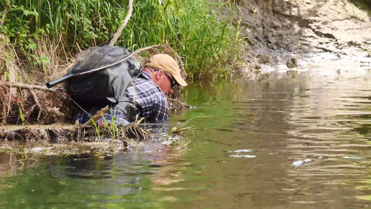 ORVIS – Landing Trout Around Obstacles