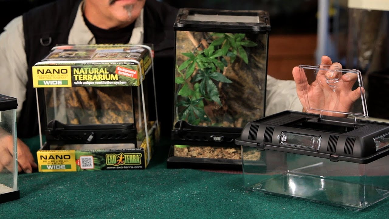 How to Pick Out & Set Up a Terrarium | Pet Tarantulas