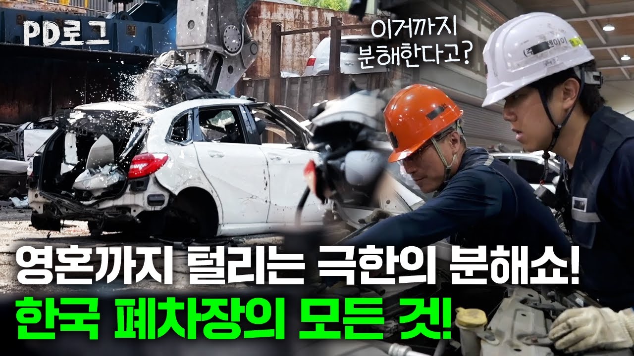 이거까지 분해한다고? 폐차장의 모든 것! | PD로그 | 61화 아낌없이 주는 자동차