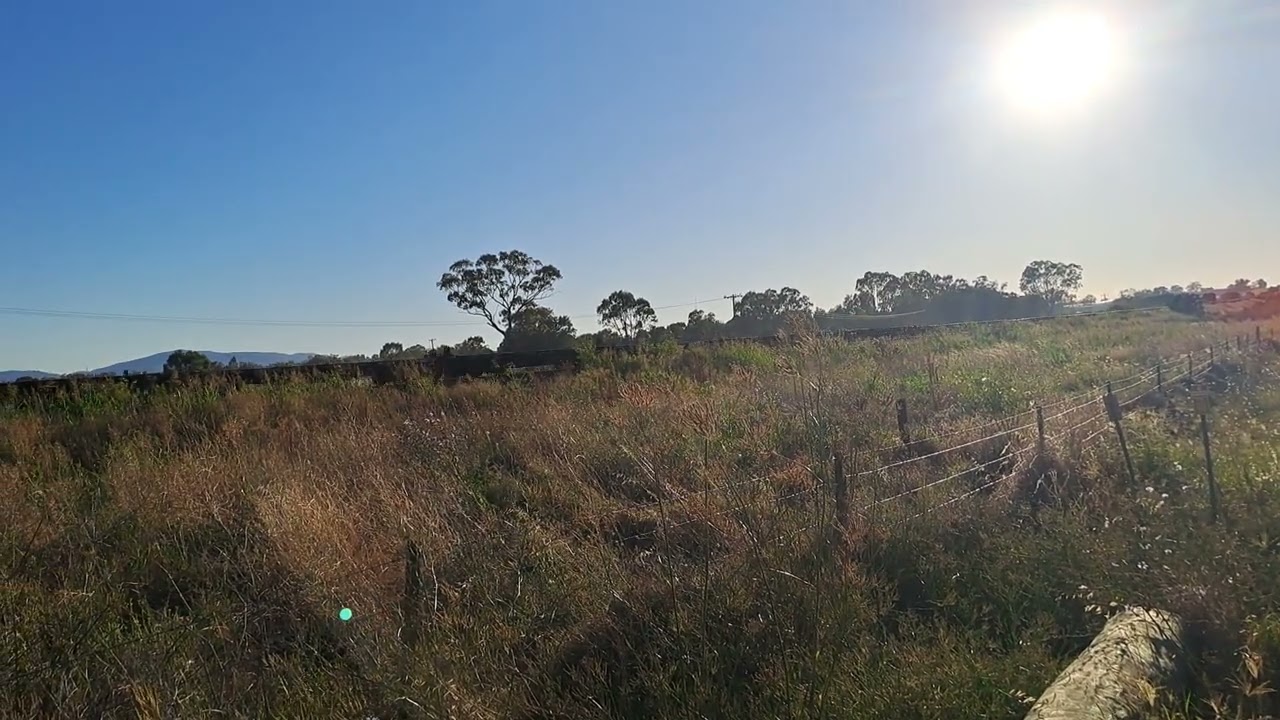 Empty Qube Skelton train 10 kms out of Gunnedah destation Narrabri West 9/1/26