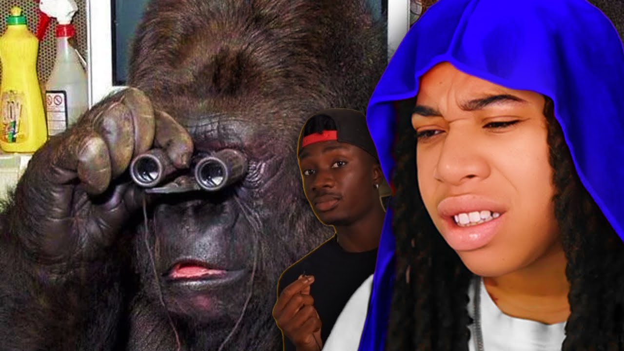 We Have Been LIED TO About Gorillas