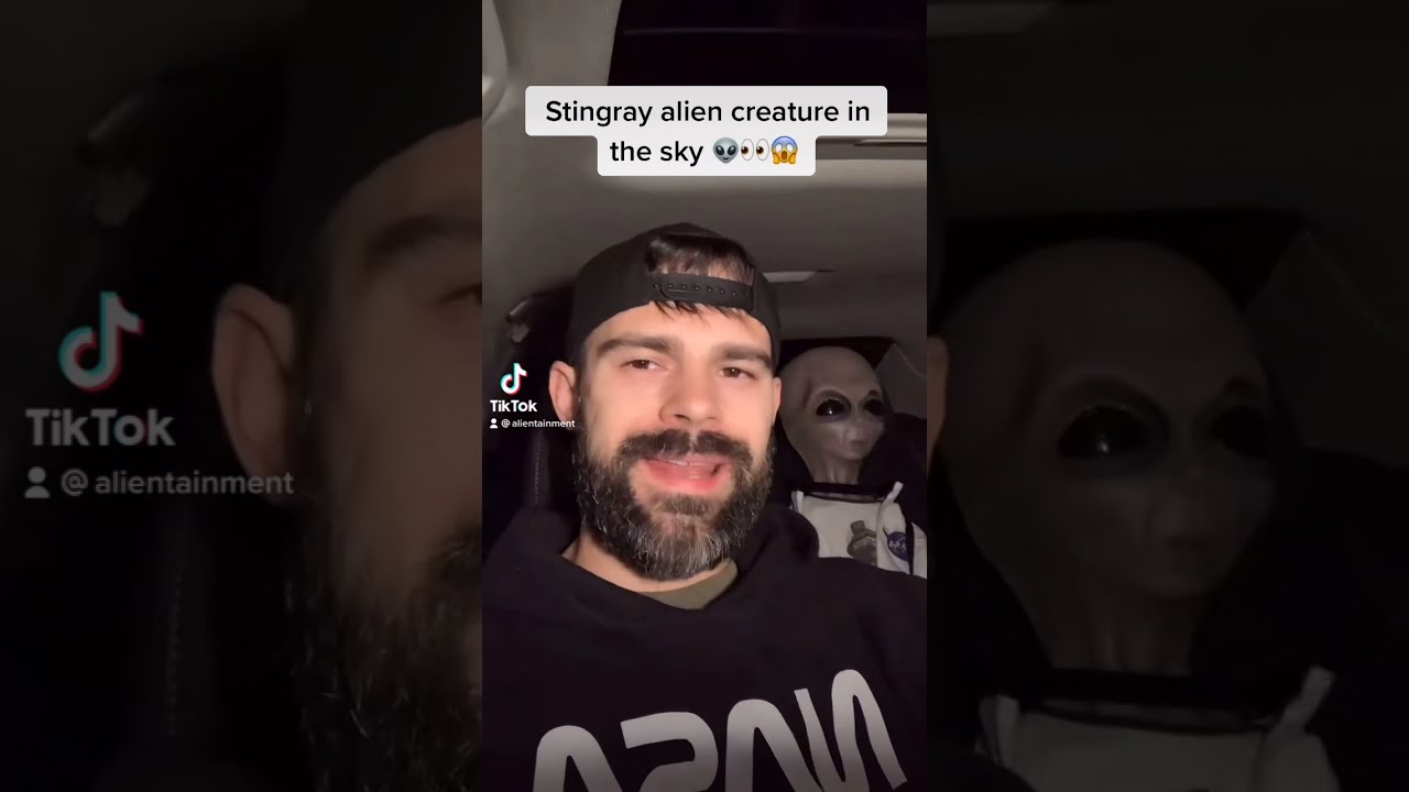 Stingray interdimensional alien creature in the sky sighting | TikTok