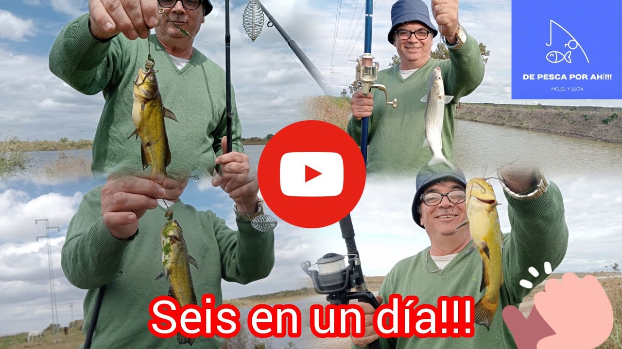 En Semana Santa pescamos Seis en una tarde!#rioguadalquivir #pesca #pescaensevilla