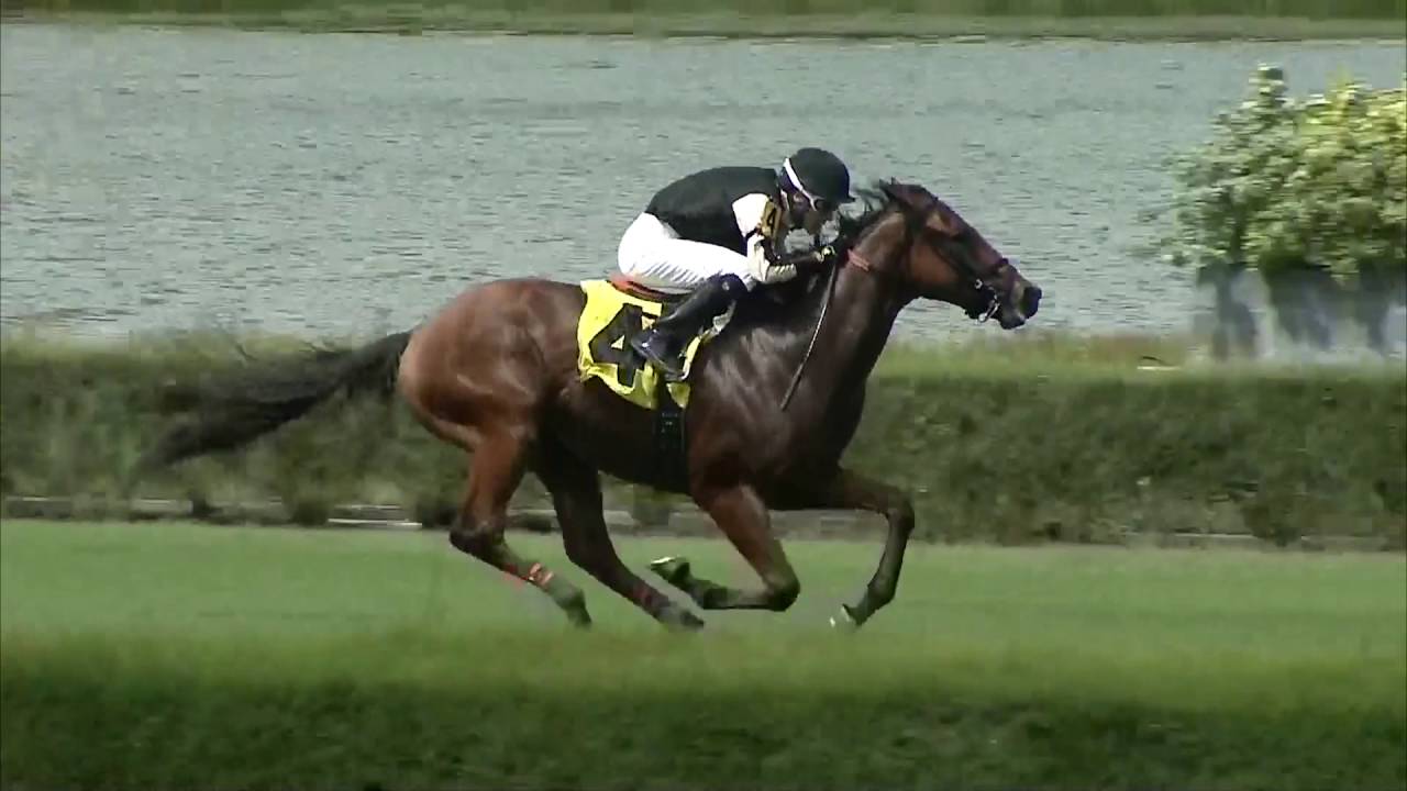Gulfstream Park Replay Show | October 9, 2016