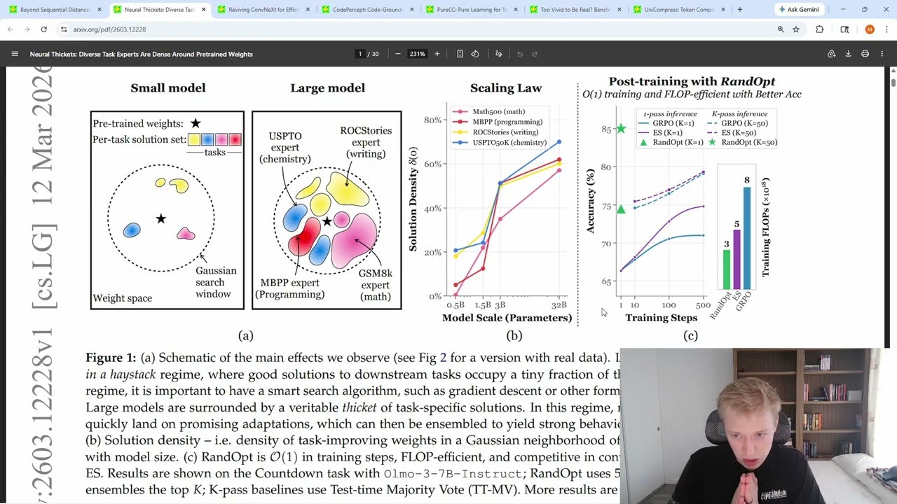 Read the Viral Neural Thickets Paper with an AI Scientist