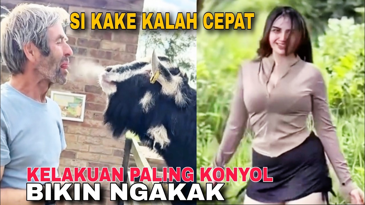 ADA ADA SAJA YA KELAKUANNYA ‼️ HIBURAN KOCAK BANGET BIKIN NGAKAK