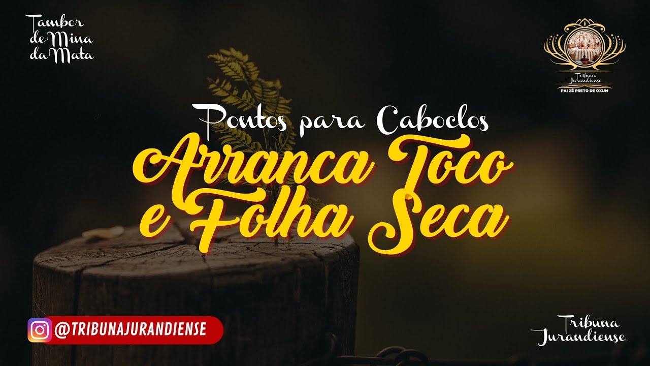 Pontos para os Caboclos Arranca Toco e Folha Seca