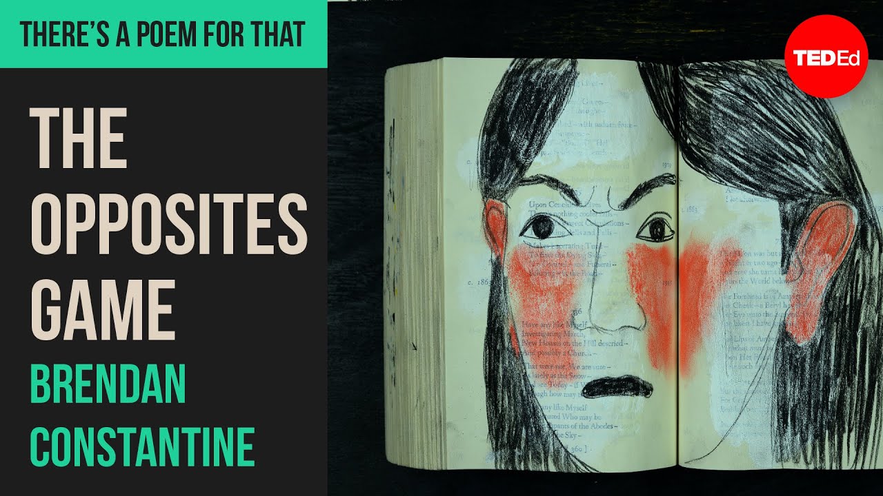 The Opposites Game