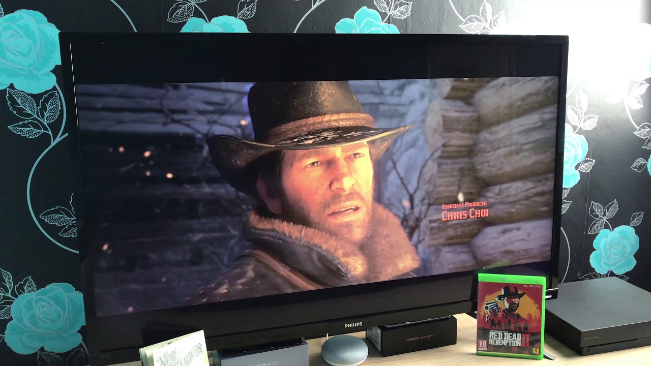 Red Dead Redemption 2 Intro on Philips 43