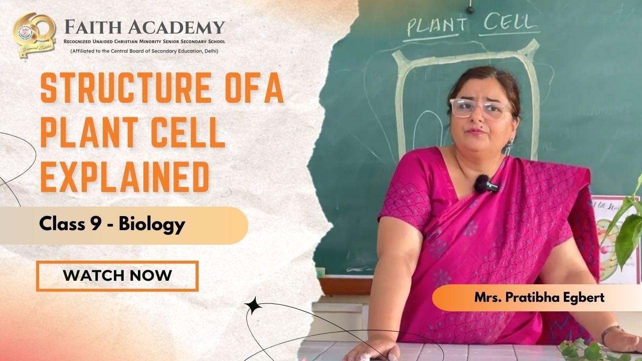 Plant Cell Explained | Biology Lesson | Faith Academy