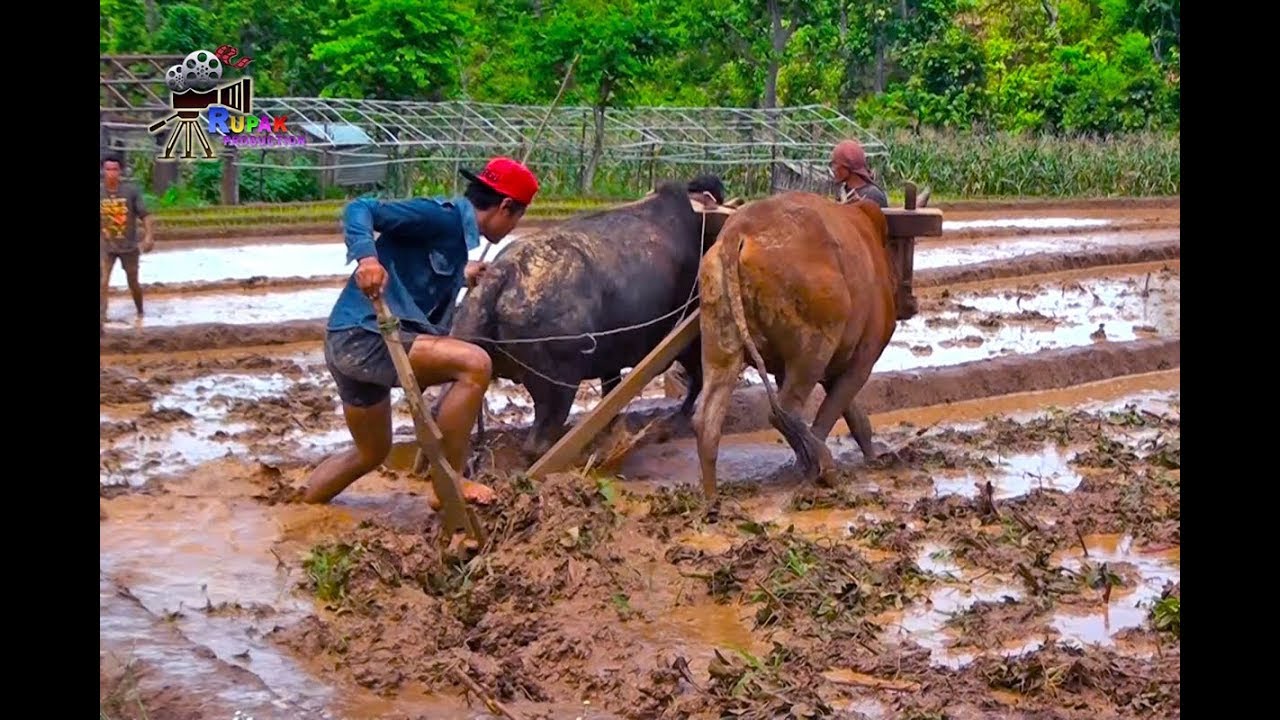 RURAL LIFE IN NEPAL || Part  - 1