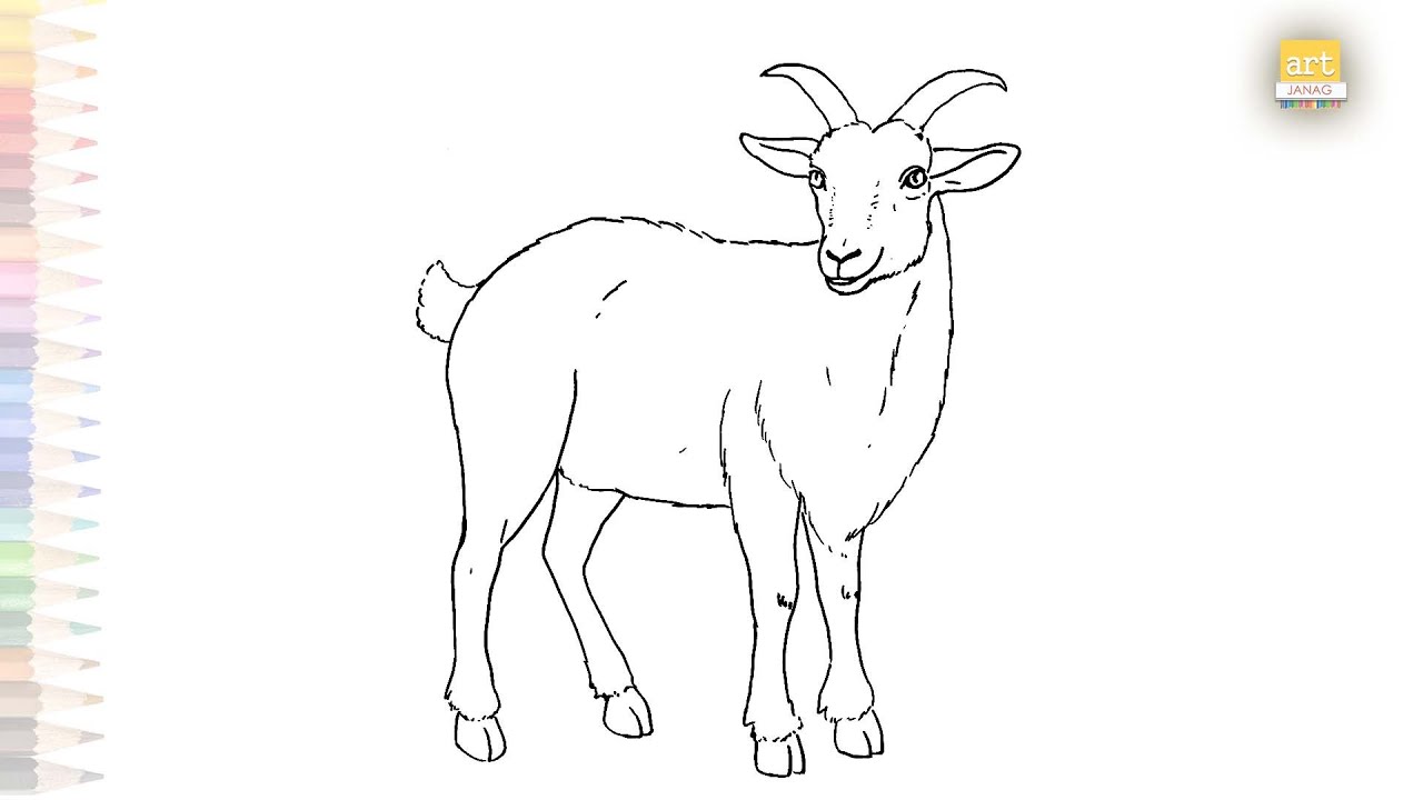 Goat drawings easy | Animal drawing tutorial | How to draw A Goat step by step | #artjanag