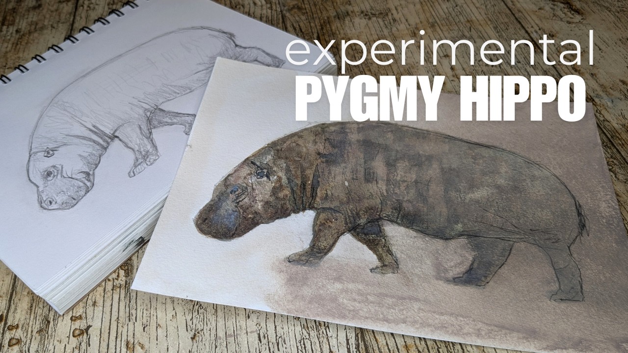Trying New Techniques: Watercolour Pygmy Hippo Study