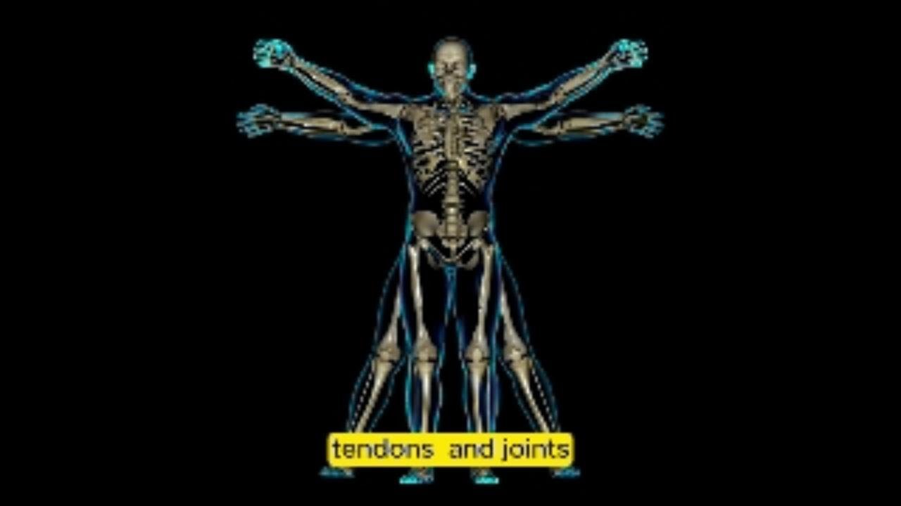 What Is FOP? The Rare Disease That Turns Muscles Into Bone!